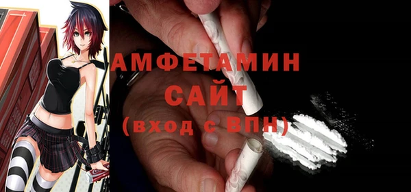 индика Алзамай