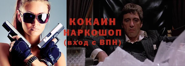 индика Алзамай