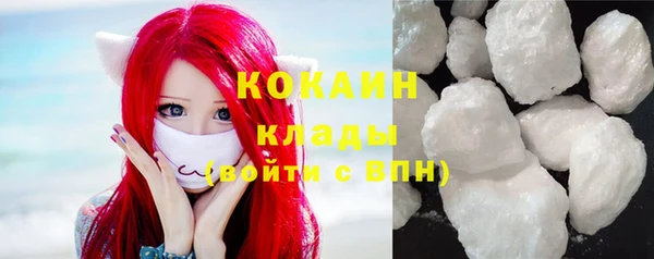 индика Алзамай