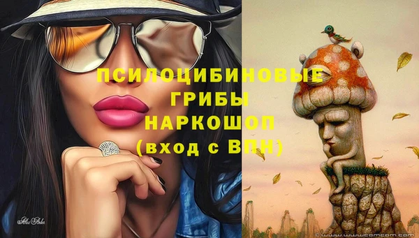 экстази Алексин