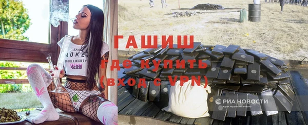 индика Алзамай