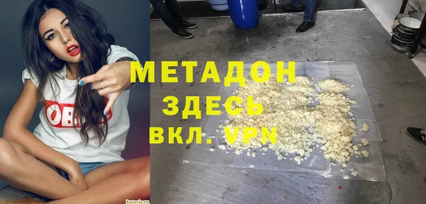 индика Алзамай