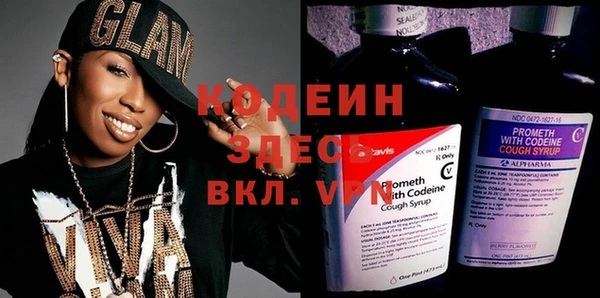 индика Алзамай